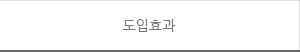 도입효과